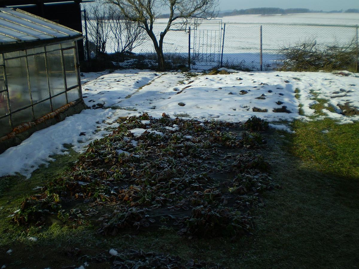 Hostákov
