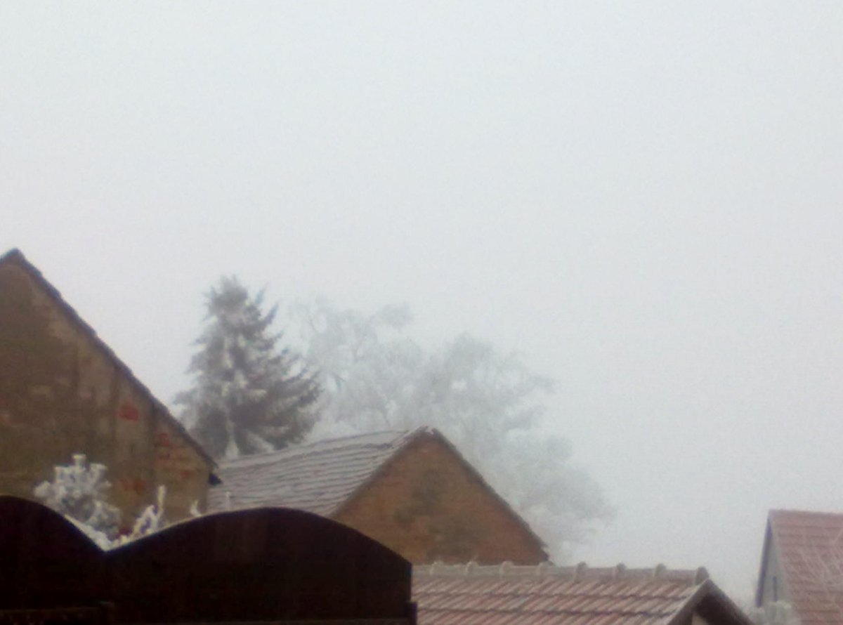 Předín