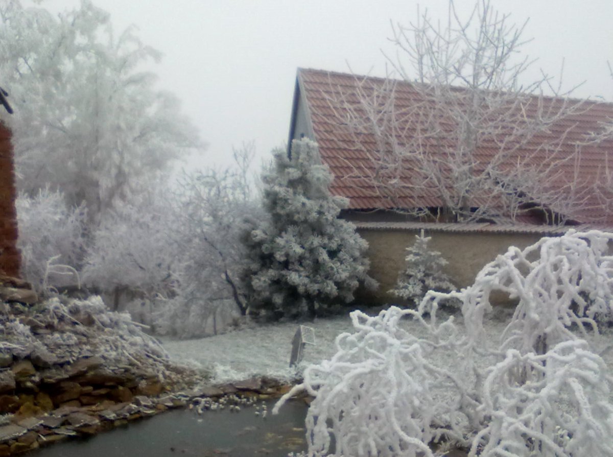 Předín