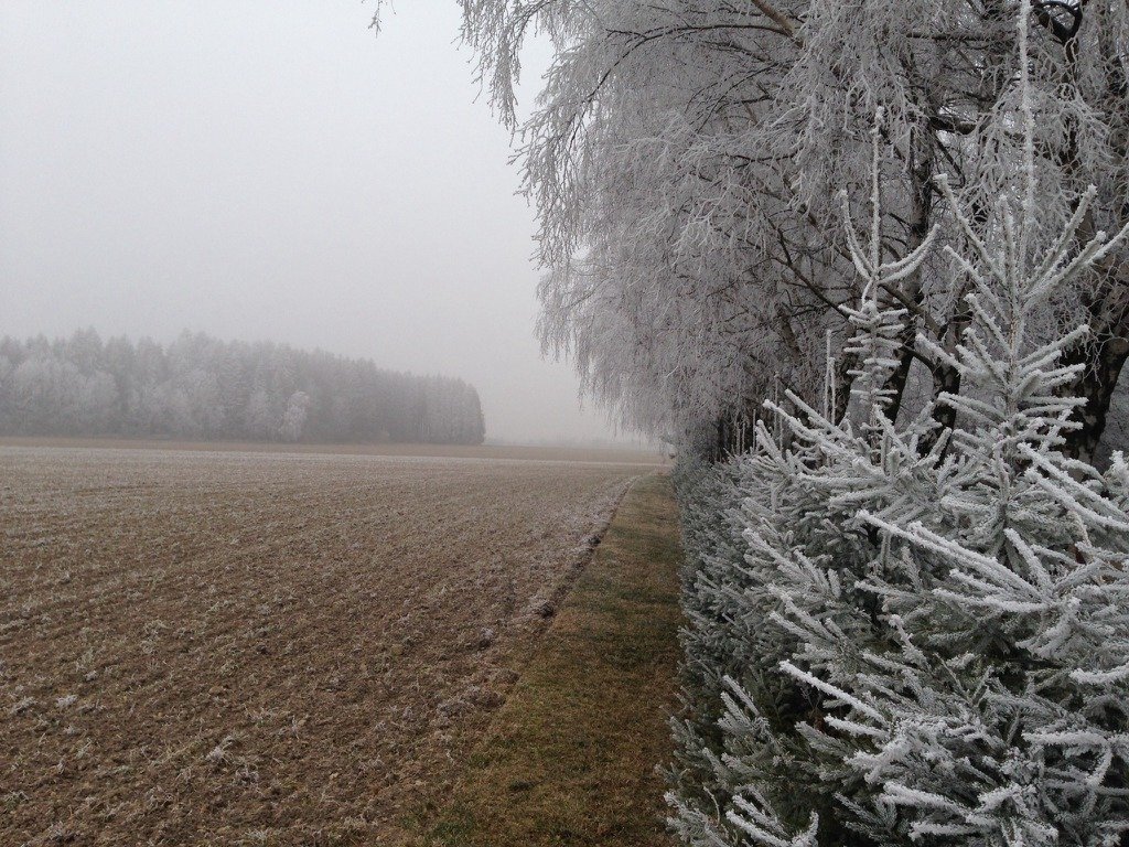 Ostrý Kámen