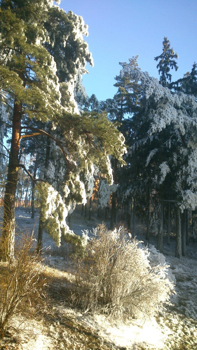 Třebíč