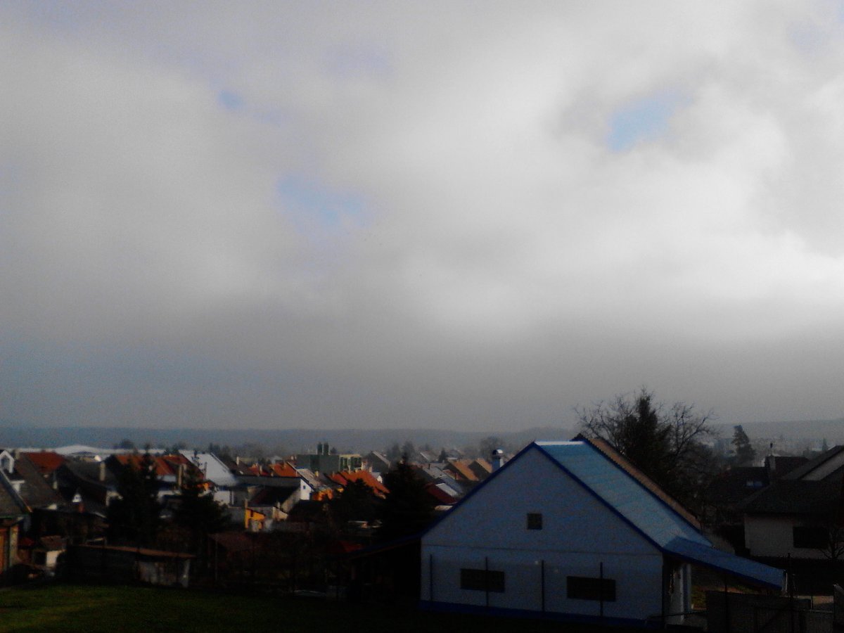 Kvasice
