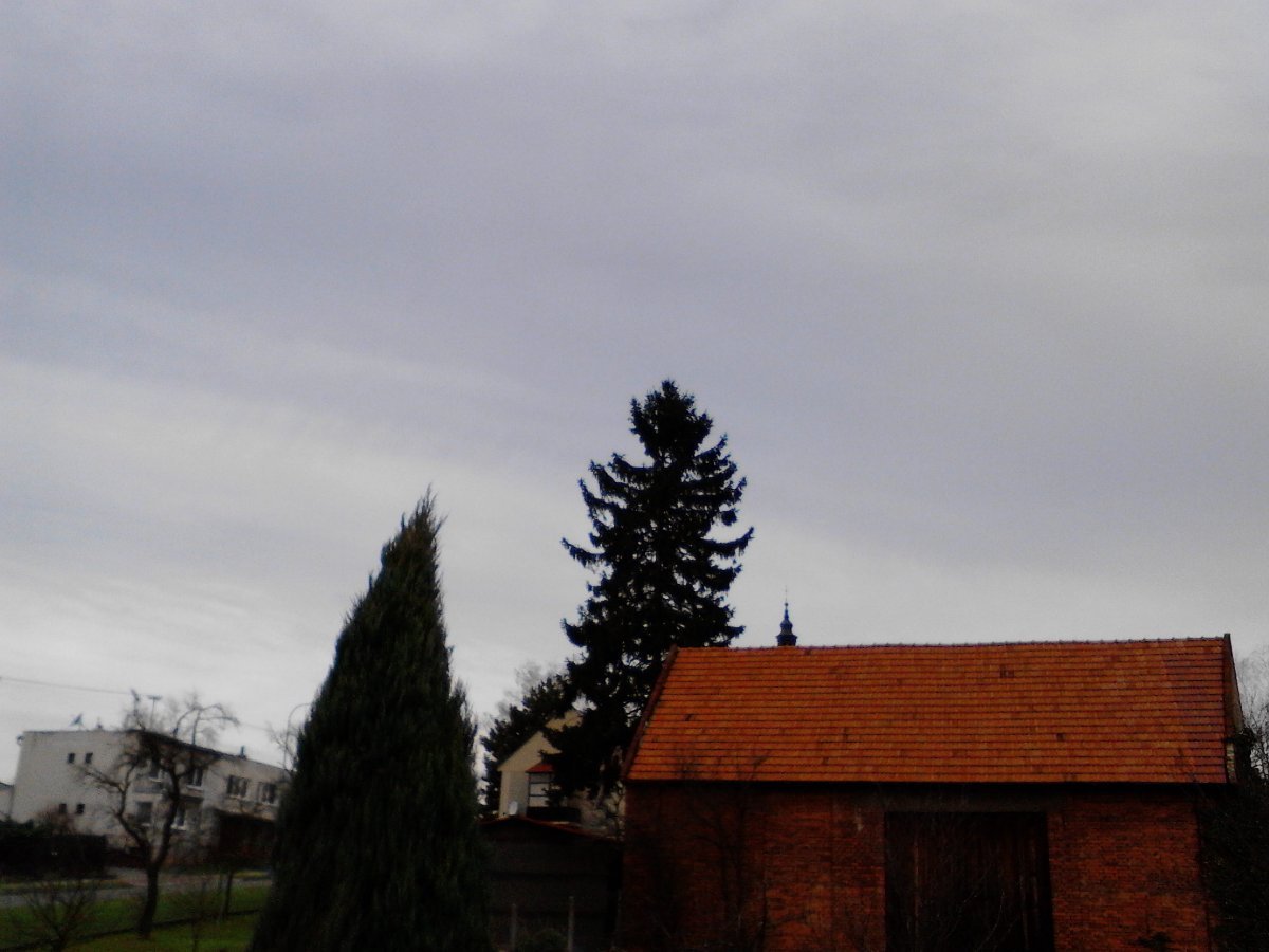 Kvasice