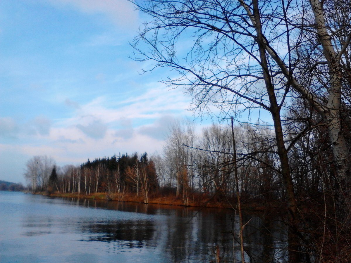 Kvasice