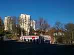 Borovina