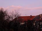Třibřichy