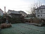 Třibřichy