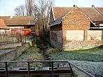 Třibřichy