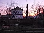 Třibřichy