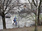 Borovina