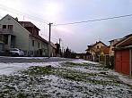 Borovina
