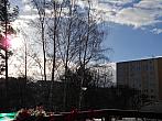Borovina
