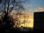 Borovina