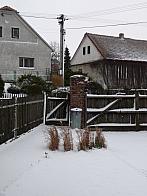 Třibřichy