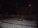 Třibřichy