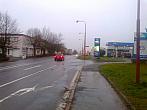 Borovina