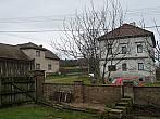 Třibřichy