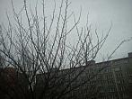 Ostrava-Dubina