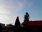 Kvasice