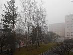 Borovina