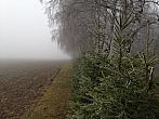 Ostrý Kámen