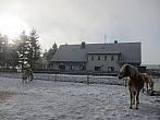Studnice