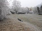 Borovina