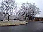 Borovina