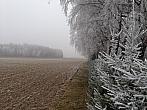 Ostrý Kámen