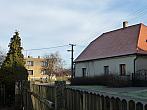 Třibřichy