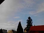 Kvasice