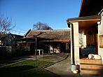 Třibřichy