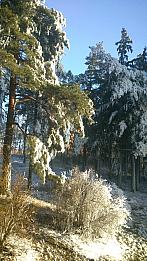 Třebíč