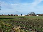 Třibřichy