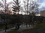 Borovina