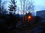 Borovina