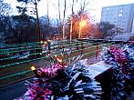 Borovina