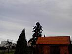 Kvasice