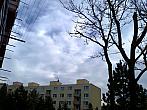 Borovina