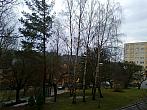Borovina