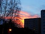 Borovina