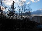 Borovina