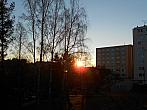 Borovina