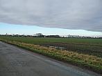 Třibřichy