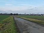 Třibřichy