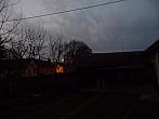 Třibřichy