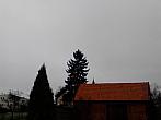 Kvasice
