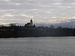 Třibřichy