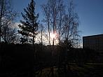 Borovina