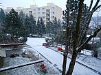 Borovina